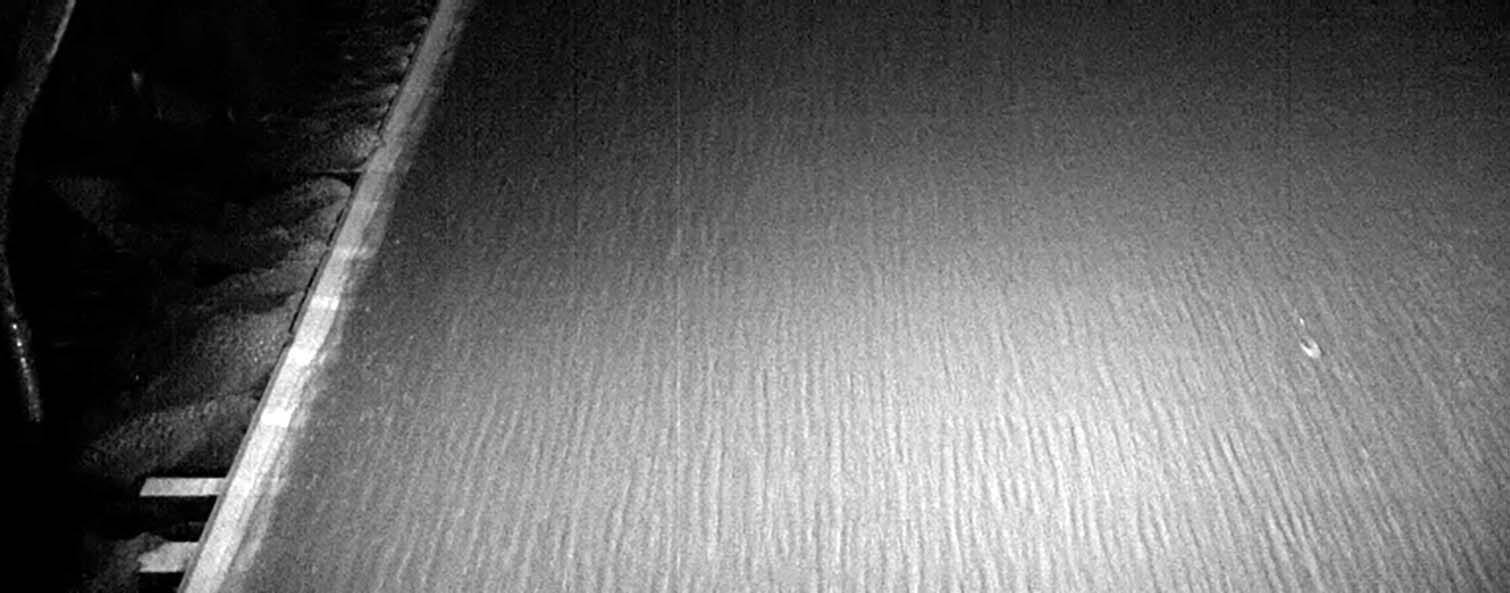 Detailed image of Procemex at forming section