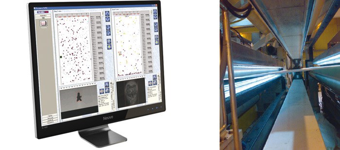 Procemex strobe illumination with a monitor