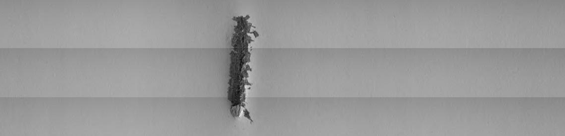 Procemex crossed light web inspection dark spot defect image
