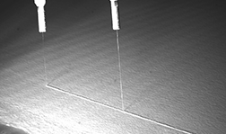 ProClean Pinhole Camera